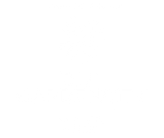 DLF Gardencity Logo