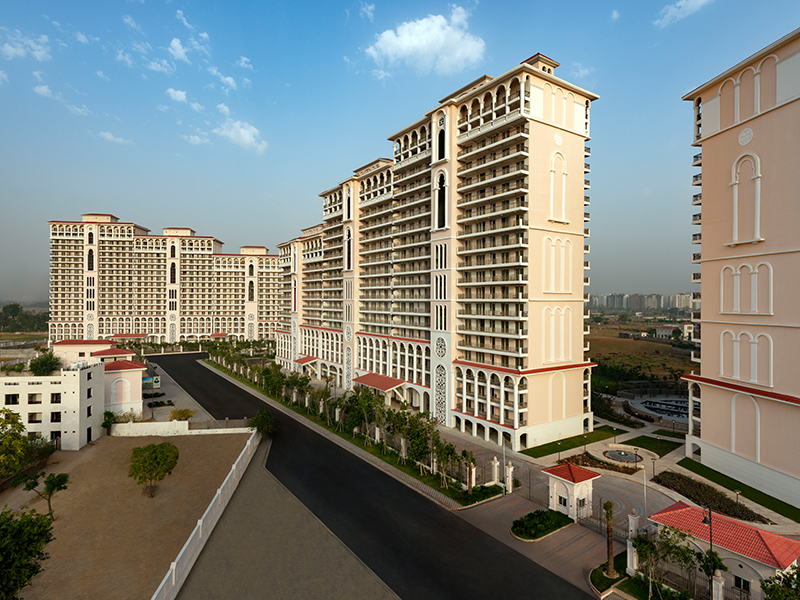 dlf