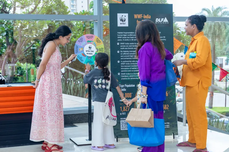 Workplace event photo highlight