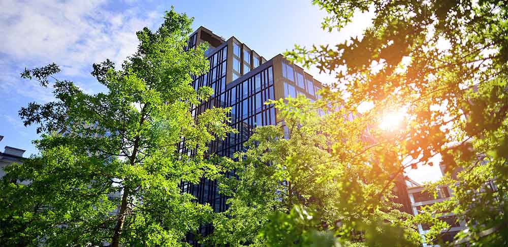 DLF's Vision: Transforming Workspaces into Lifestyle Hubs