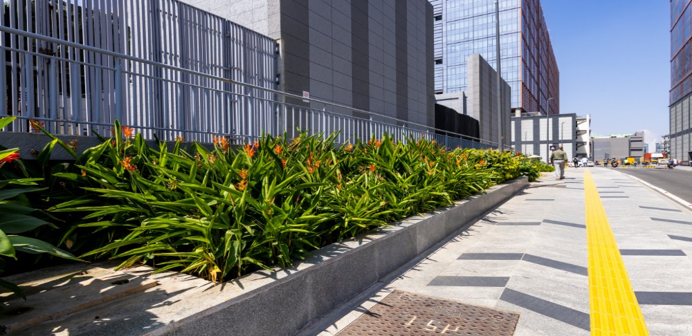 How Green Building Energy Efficiency Enhances Workplace Wellness at DLF Downtown