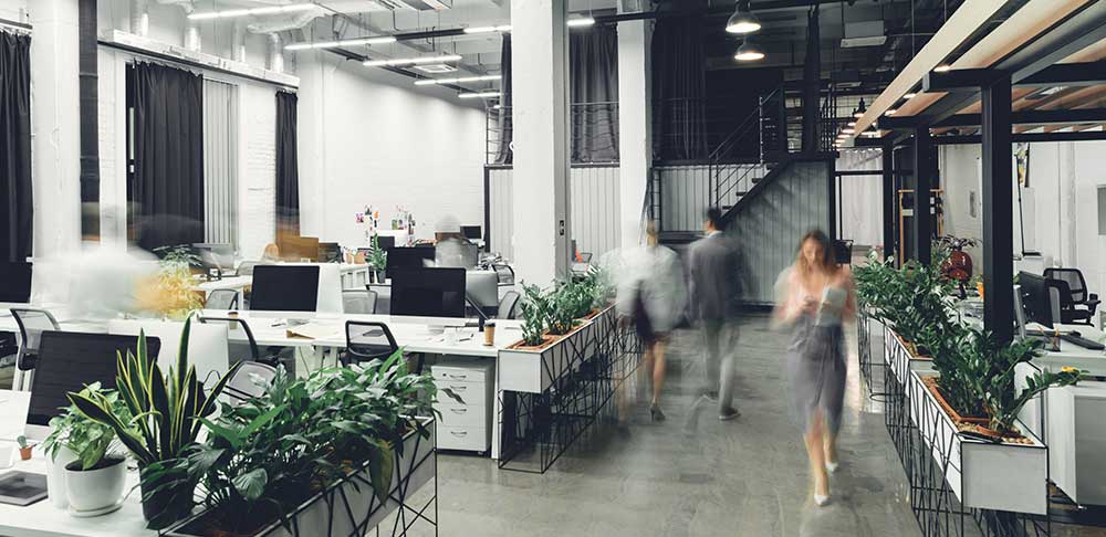 Roadmap To Sustainable Office Spaces
