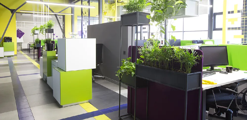Innovative Office Designs
