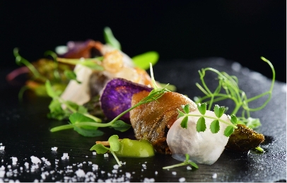 f&b services