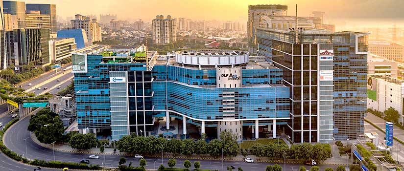 dlf infinity
