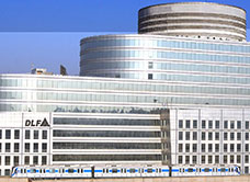 dlf building 10 overview
