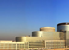 dlf building 10 overview