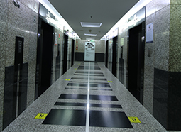 dlf cyber greens