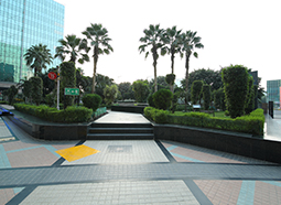 dlf cyber greens