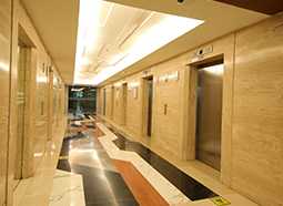 dlf iq building