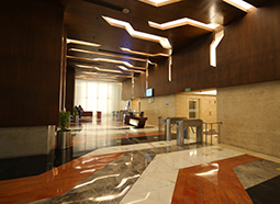 dlf iq building