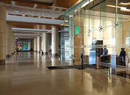 dlf iq building