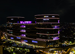 dlf epitome