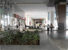 dlf infinity tower