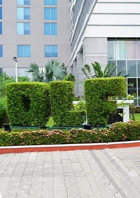  DLF Offices – Commitment to Sustainability