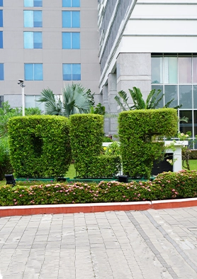 dlf sustainibilty