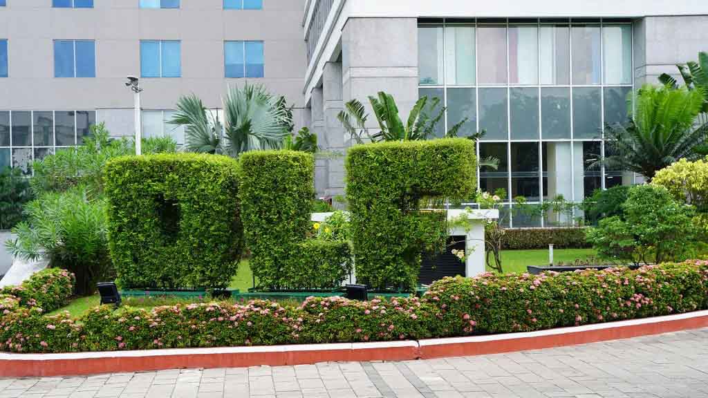 garden area
