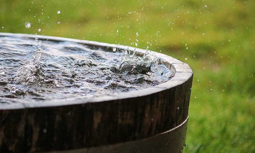 rain water harvesting